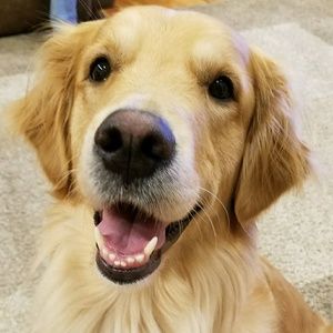 Meet your Posher, Lindsay